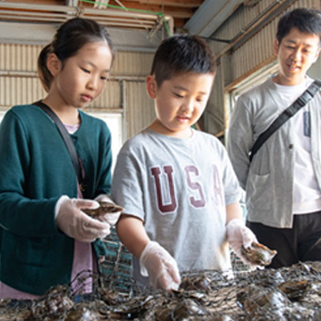 貝から真珠を取り出す「浜揚げ」7